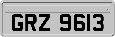 GRZ9613