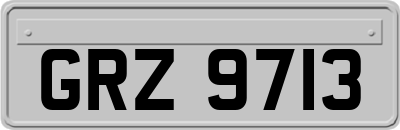 GRZ9713