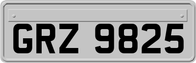 GRZ9825