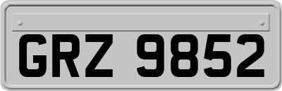 GRZ9852