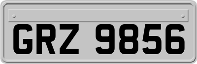 GRZ9856