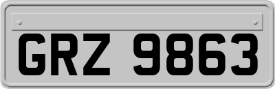GRZ9863