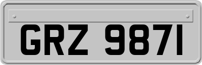 GRZ9871