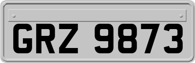 GRZ9873