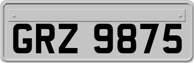GRZ9875
