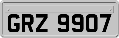GRZ9907