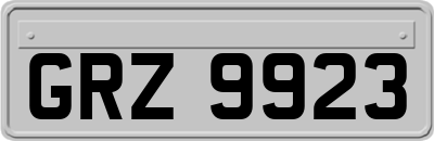 GRZ9923