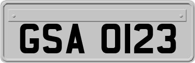 GSA0123