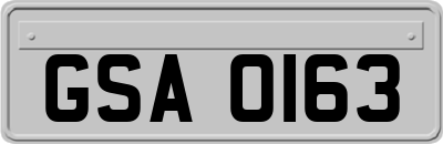 GSA0163