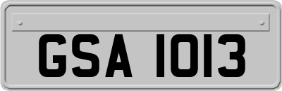 GSA1013