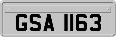 GSA1163