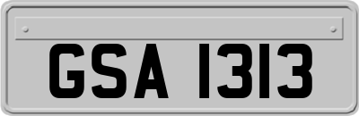 GSA1313