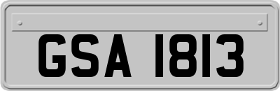 GSA1813