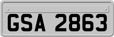 GSA2863
