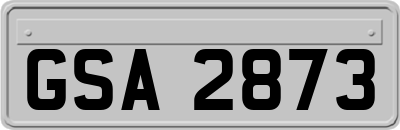 GSA2873
