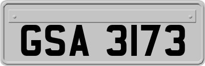 GSA3173