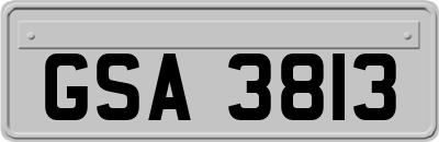 GSA3813