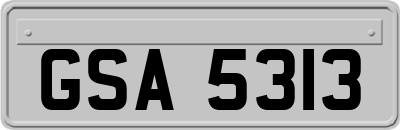 GSA5313