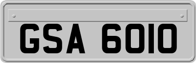 GSA6010