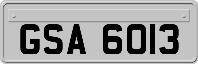 GSA6013