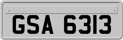 GSA6313