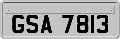 GSA7813