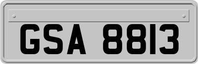 GSA8813