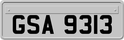 GSA9313