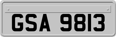 GSA9813