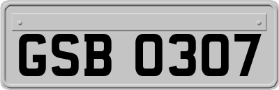 GSB0307