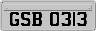 GSB0313