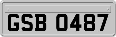 GSB0487