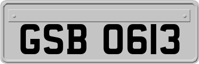 GSB0613