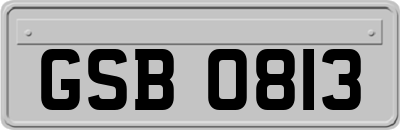 GSB0813