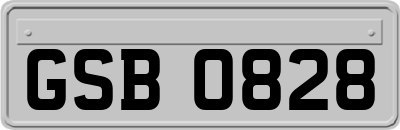 GSB0828