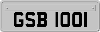 GSB1001