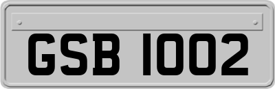 GSB1002