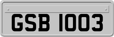 GSB1003