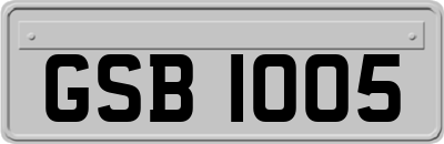 GSB1005