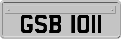 GSB1011