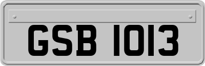 GSB1013