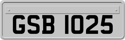 GSB1025
