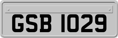 GSB1029