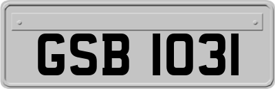 GSB1031