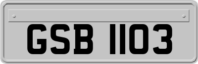 GSB1103