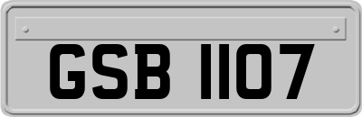 GSB1107