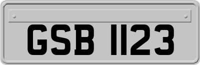 GSB1123