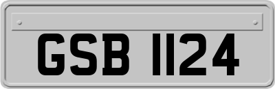 GSB1124