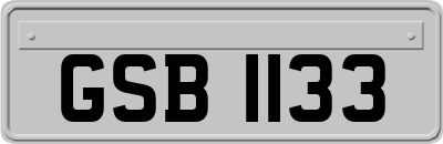 GSB1133