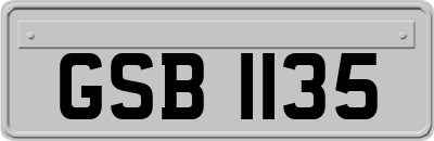 GSB1135